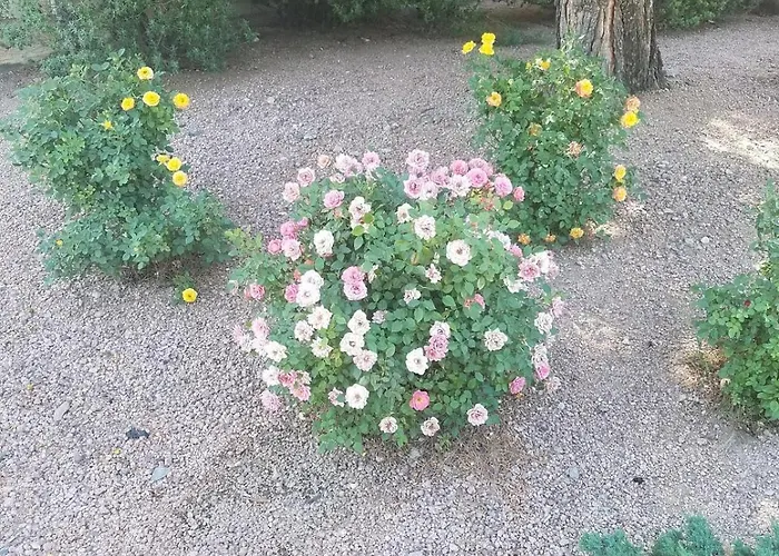 Days By Wyndham Camp Arizona 2*