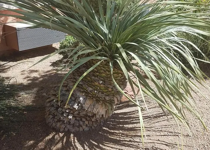 Days By Wyndham Camp Arizona
