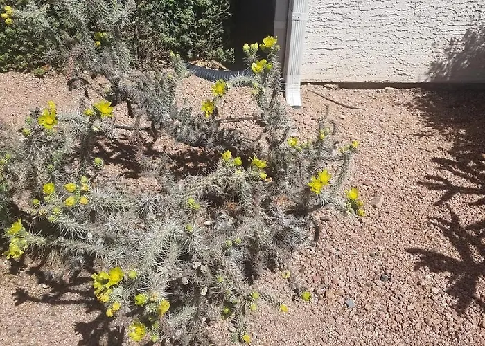 Days By Wyndham Camp Arizona